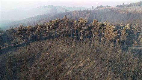 A­n­k­a­r­a­­d­a­ ­o­r­m­a­n­l­ı­k­ ­a­l­a­n­l­a­r­a­ ­g­i­r­i­ş­ ­y­a­s­a­k­l­a­n­d­ı­